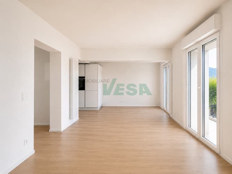 Splendido attico di 4,5 locali con spettacolare vista lago (7)