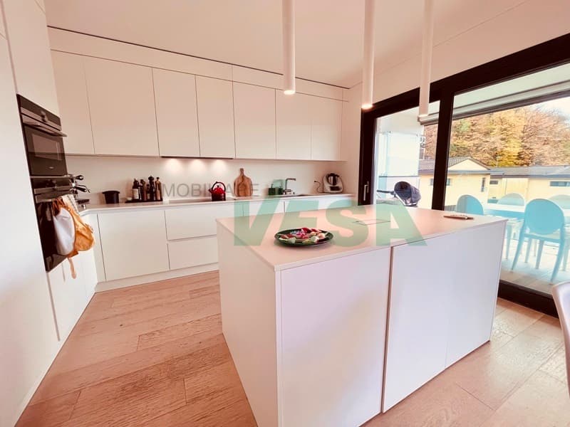 Moderno appartamento 4,5 locali con bella terrazza e giardino privato (12)