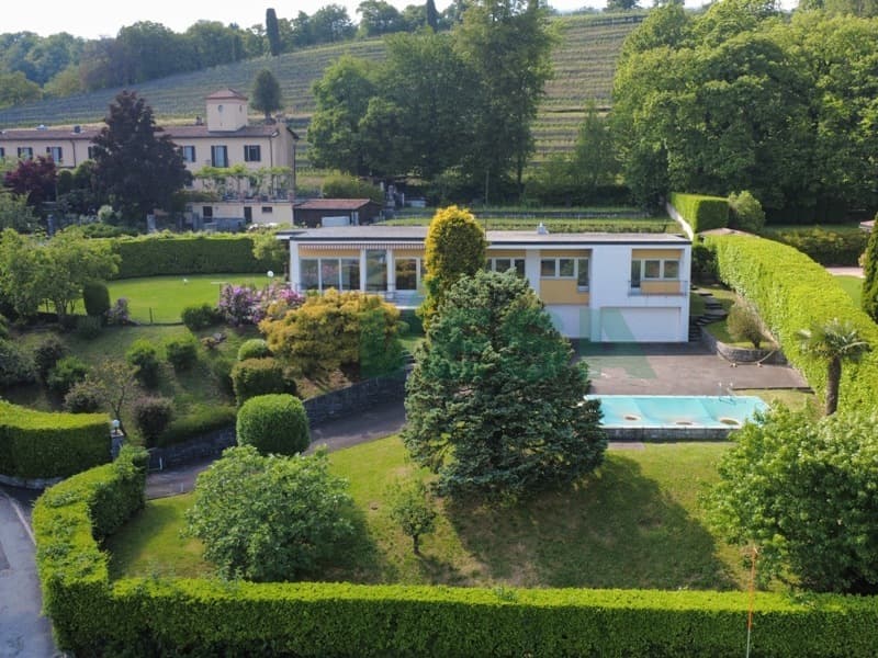 Incantevole villa dalle linee armoniose e moderne, immersa nei vigneti (5)