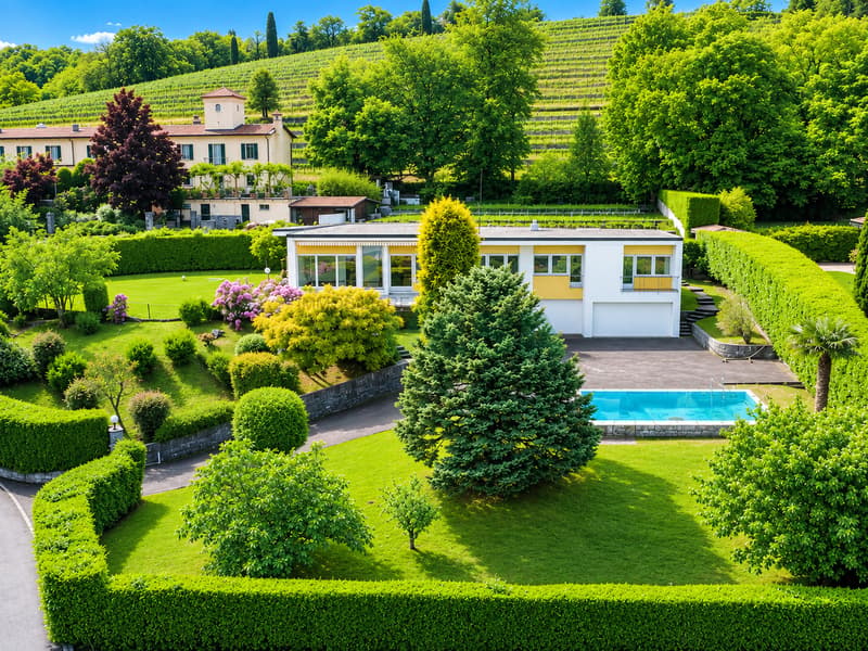 Incantevole villa dalle linee armoniose e moderne, immersa nei vigneti (5)