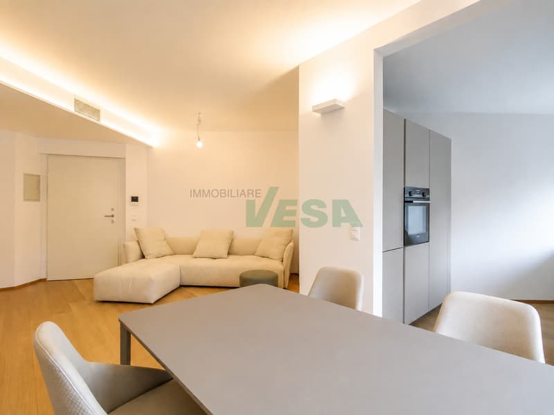 Bel appartamento moderno 2,5 locali ammobiliato e centralissimo (3)