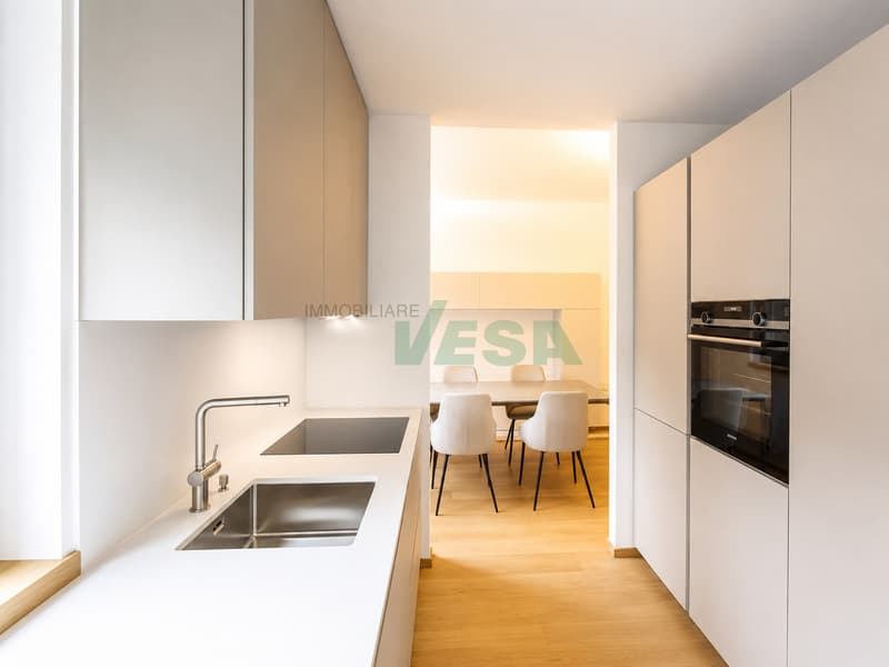Bel appartamento moderno 2,5 locali ammobiliato e centralissimo (2)