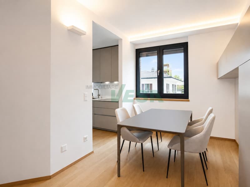 Bel appartamento moderno 2,5 locali ammobiliato e centralissimo (5)