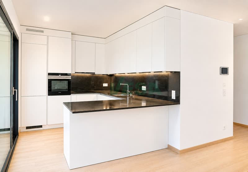 Luminoso appartamento 4,5 locali con terrazza e bel giardino privato (5)