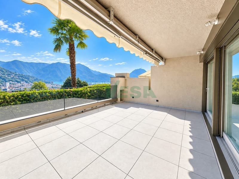 Moderno e luminoso appartamento 2 locali con splendida vista lago (2)