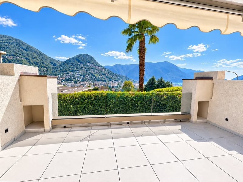 Moderno e luminoso appartamento 2 locali con splendida vista lago (8)