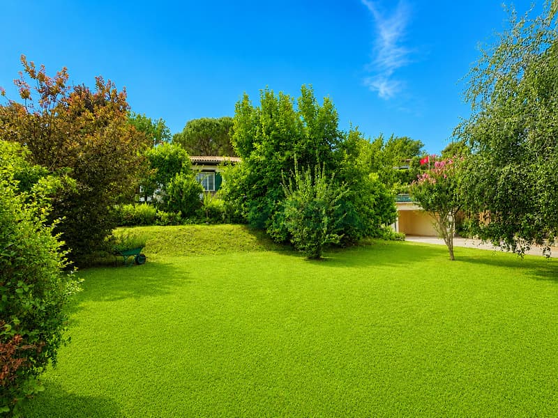 Accogliente casa unifamiliare su un unico piano con ampio giardino (2)