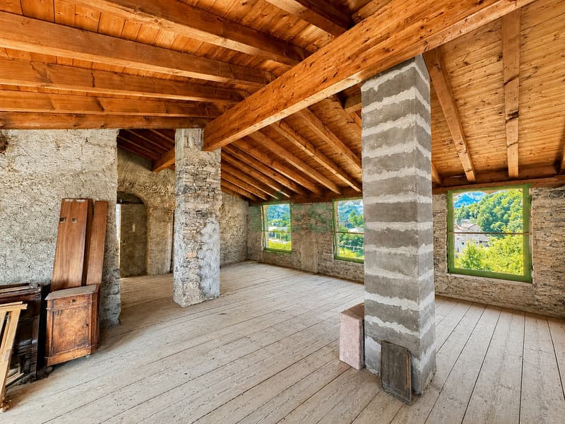 Splendida proprietà con antico palazzo, casetta rustica e bel giardino (4)
