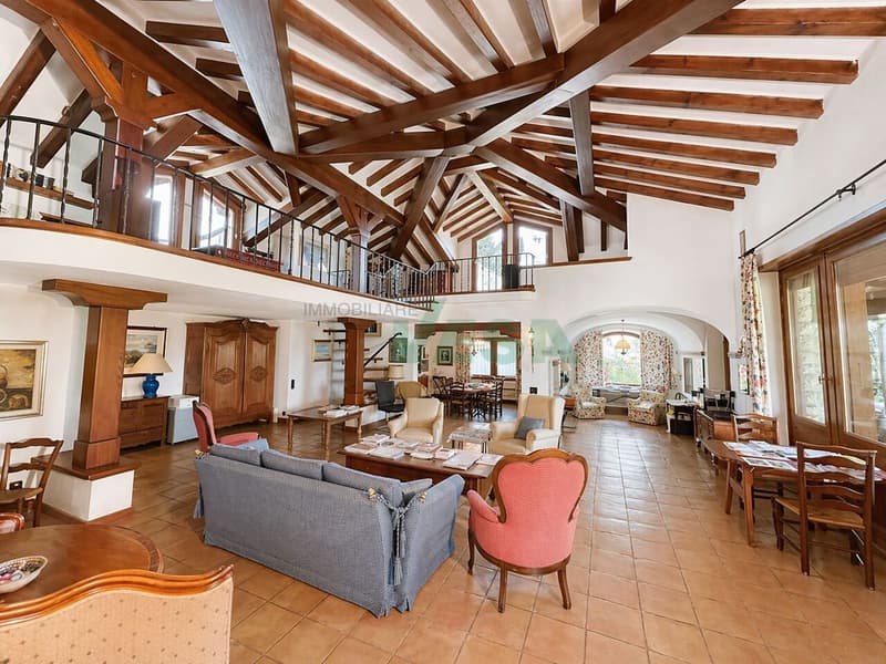 Lussuosa e importante villa signorile nel verde in zona comoda (1)