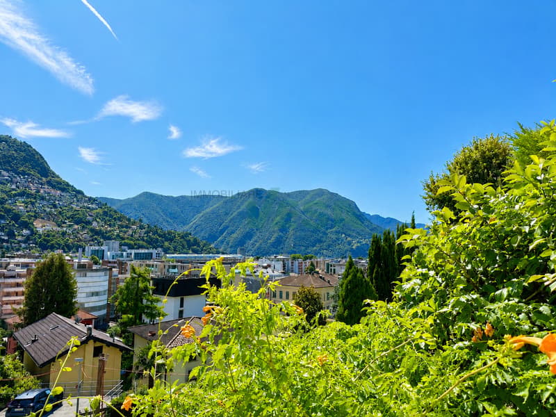 Bel appartamento 6,5 locali con giardino in tranquilla zona collinare (3)