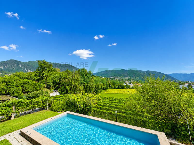 Grande terreno con splendida vista panoramica sui vigneti (1)