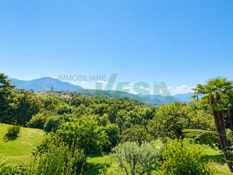 un paesaggio di dolci colline, alberi e montagne / a landscape of rolling hills, trees and mountains