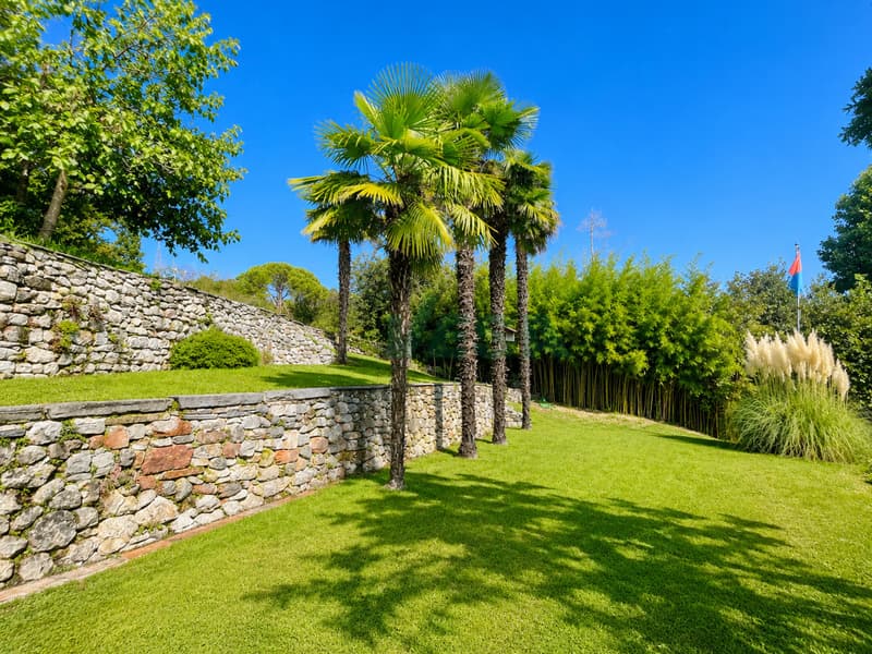 Affascinante ampia casa di nucleo con un grande e splendido giardino (7)