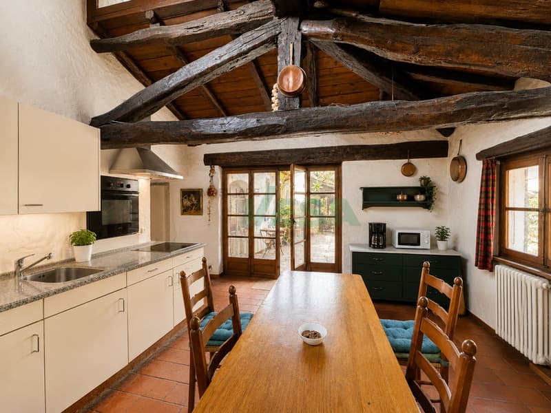 Affascinante ampia casa di nucleo con un grande e splendido giardino (12)