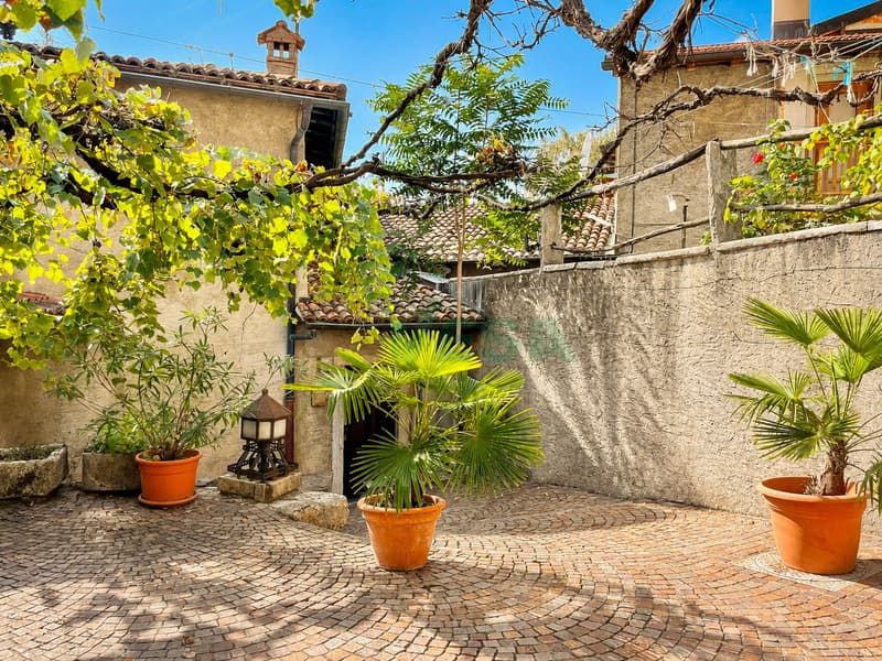 Affascinante ampia casa di nucleo con un grande e splendido giardino (5)