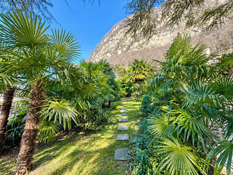 Accogliente villa tutta su un piano con grande bel giardino e piscina (7)