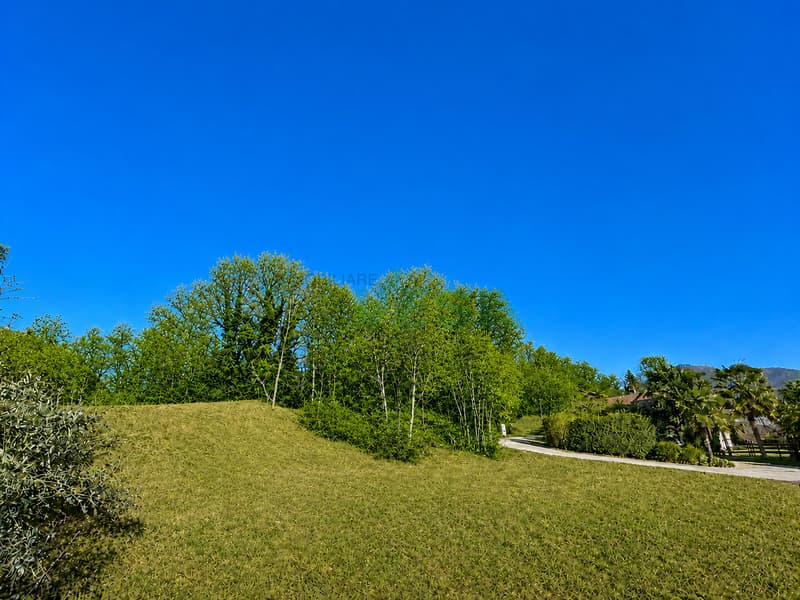 Bel terreno edificabile pianeggiante in zona tranquilla nel verde (1)