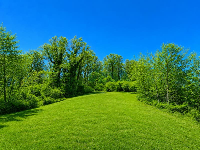 Bel terreno edificabile pianeggiante in zona tranquilla nel verde (4)