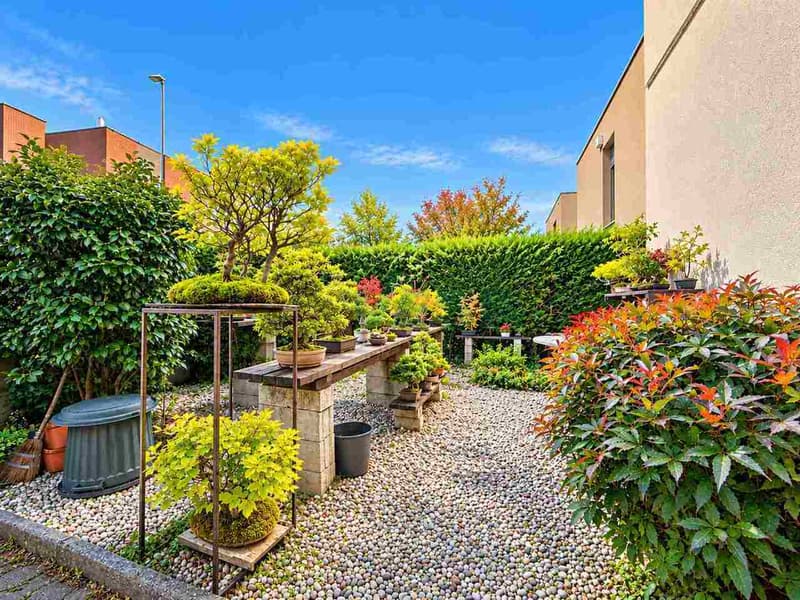 Incantevole e spaziosa casa a schiera di testa in zona comodissima (11)