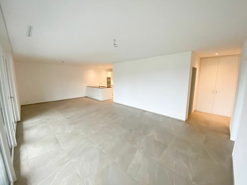 Stylish living with a fantastically large balcony (3)