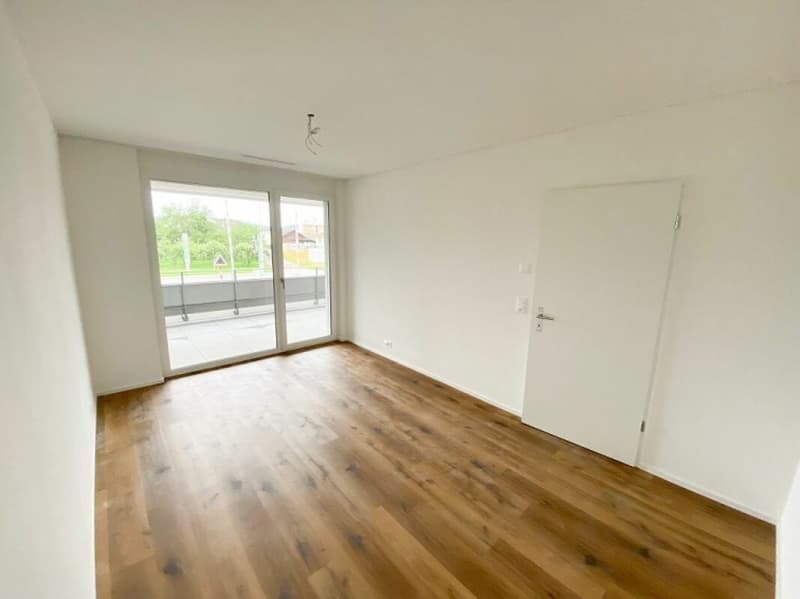 Stylish living with a fantastically large balcony (7)