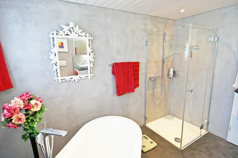 Very well-maintained 7.5-room single-family house with a beautiful garden (9)