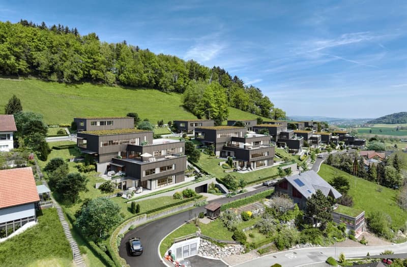 Habiter avec un panorama - maison de famille luxueuse avec vue sur les montagnes (1)