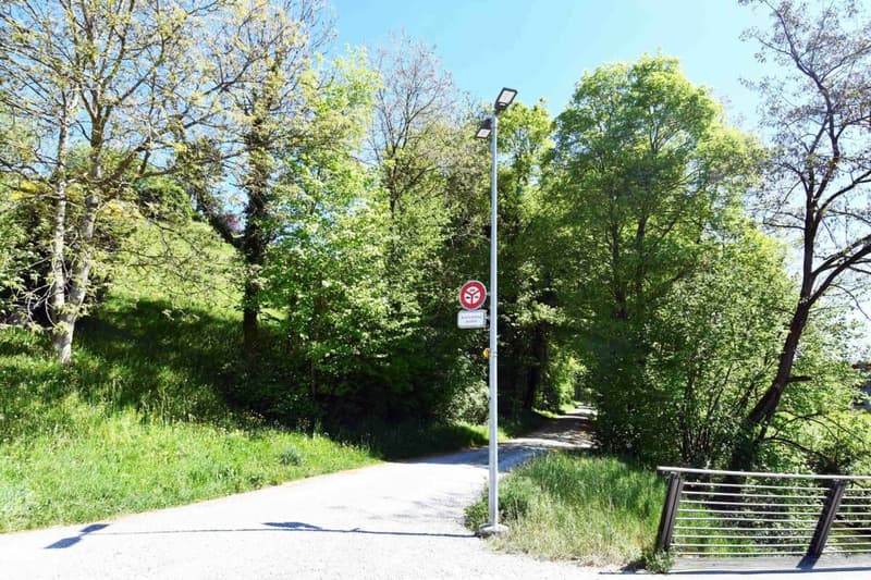 Appartement en propriété de 5,5 pièces adjacent à la zone de loisirs | Forêt (10)