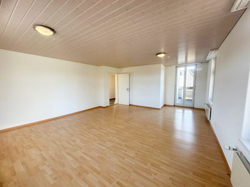 renovierte Wohnung mit Charme sucht neue Mieter! (4)