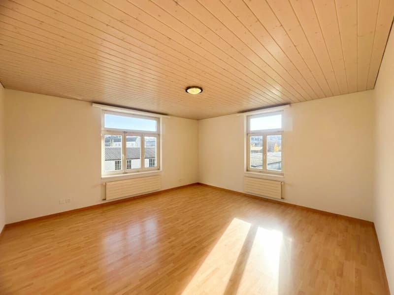 renovierte Wohnung mit Charme sucht neue Mieter! (5)