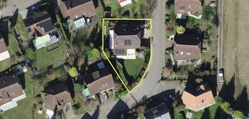 Very well-maintained 7.5-room single-family house with a beautiful garden (12)