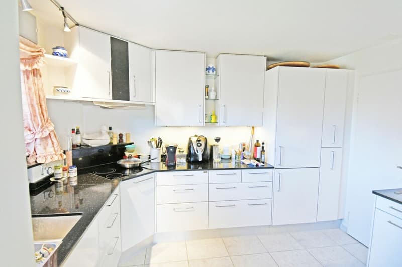 Very well-maintained 7.5-room single-family house with a beautiful garden (5)