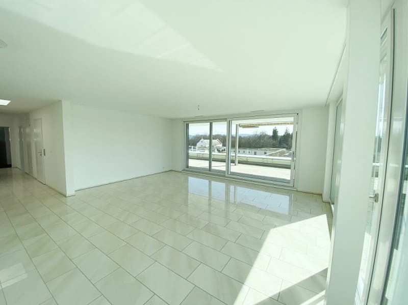 Living with a dreamy view and huge terrace (5)