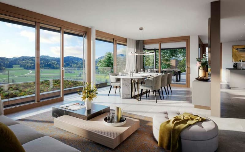 Traumhafte Fernsicht auf Alpstein mit Säntis und Churfirsten - 5.5-Zi.-Terrassenhaus (8)
