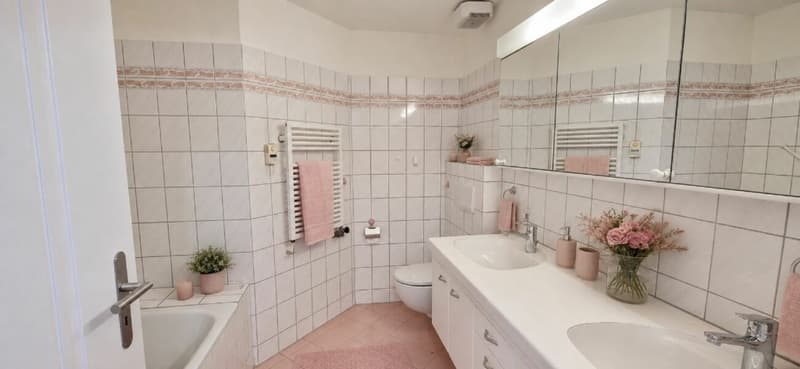 Dream attic apartment (maisonette) with large terrace+balcony and evening sun (6)