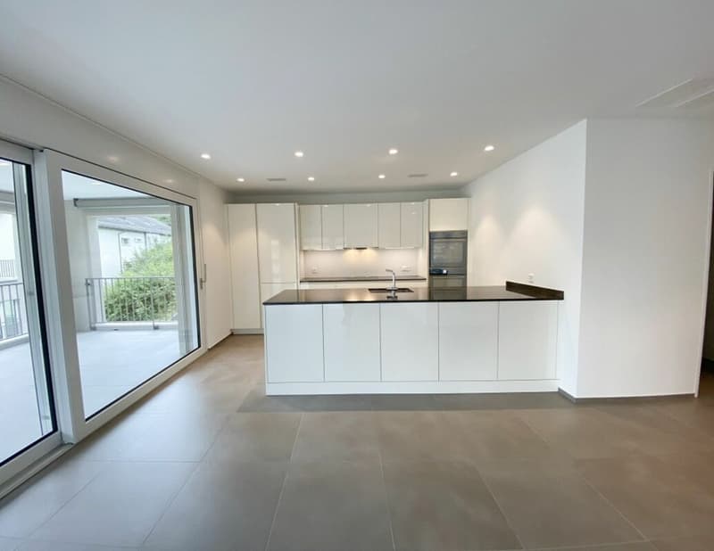 Sunny apartment with spacious balcony and Murg view (1)