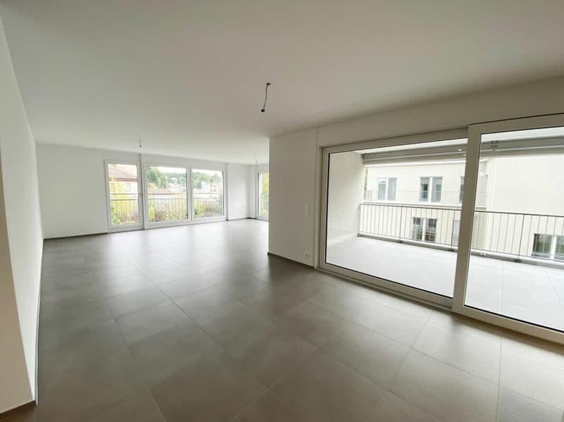 Sunny apartment with spacious balcony and Murg view (3)