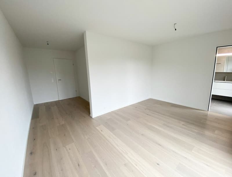 Sunny apartment with spacious balcony and Murg view (6)