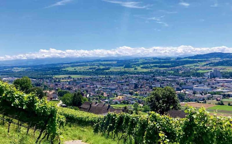 200 m² | 5.5-Zi.-Wohnung im EG | Erstbezug (5)