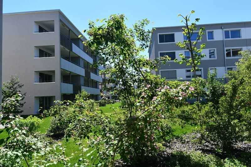Sonnige Stunden auf dem eigenen Sitzplatz geniessen (1)