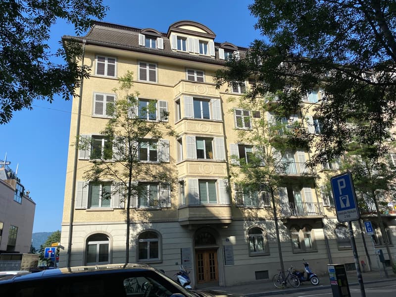 Zürichs beste Seiten erleben: 5.5-Zimmer-Wohnung mit Stil! (3)