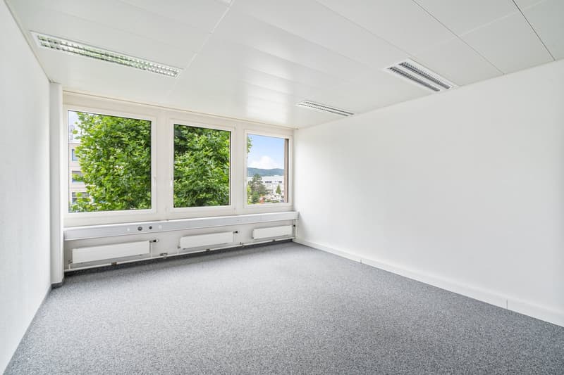 Spacious office room with large windows overlooking greenery, white walls, gray carpeted floor, and ceiling-mounted lighting fixtures