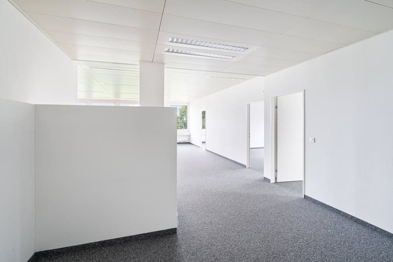 The image shows a large, open office space with white walls, a suspended ceiling with recessed lighting, and a gray carpeted floor. The space appears to be empty, with several doors leading to other rooms or areas. The overall impression is of a modern, w