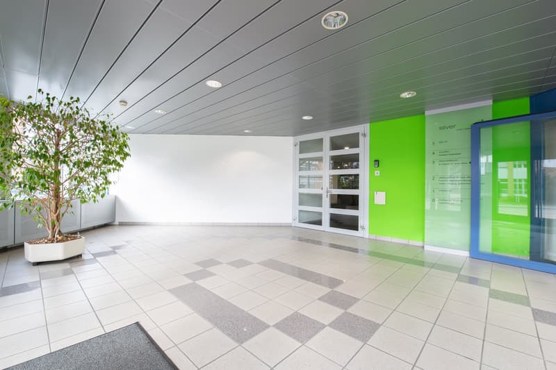 An empty entrance hall with a tiled floor and a potted tree. The ceiling has multiple recessed lighting. On the left, there is a wall with a green accent. A double door leads to the building entrance, with a sign with the text 'Silver Out' on the right.