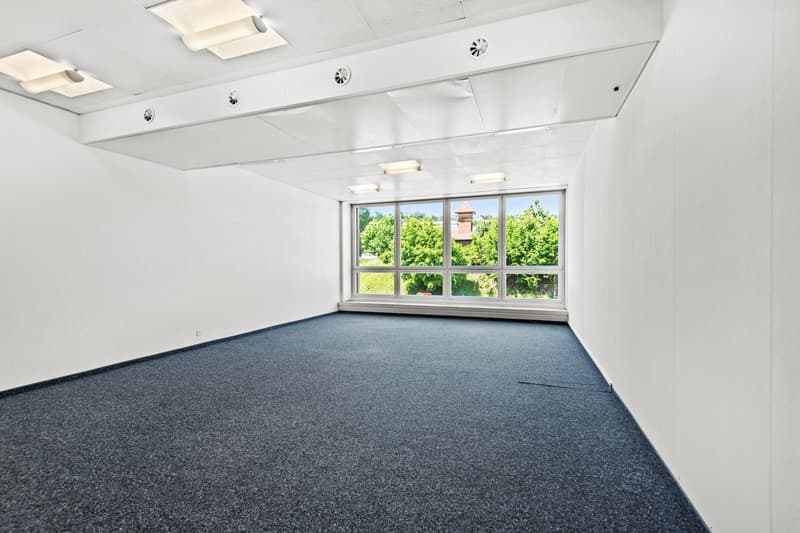 empty room, white walls, blue carpet, white ceiling, large windows