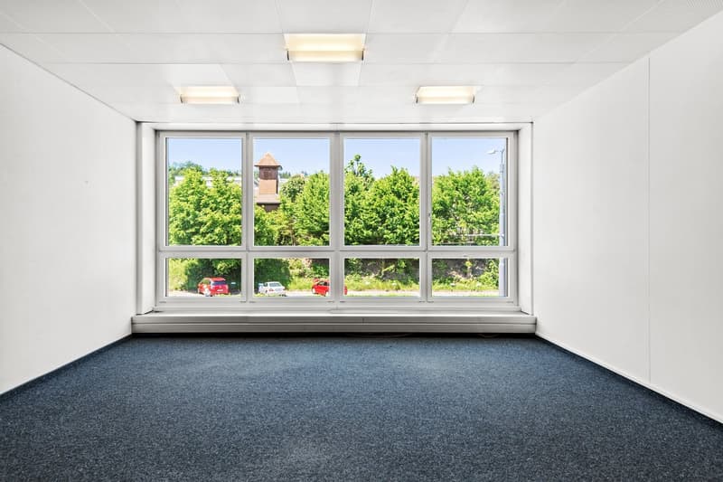 An empty room with white walls and a gray carpeted floor, with a large window looking out to the outdoors.