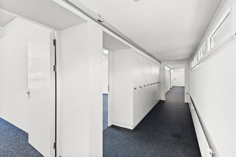 Empty corridor with white walls and blue carpeted floor, white cabinets, small windows