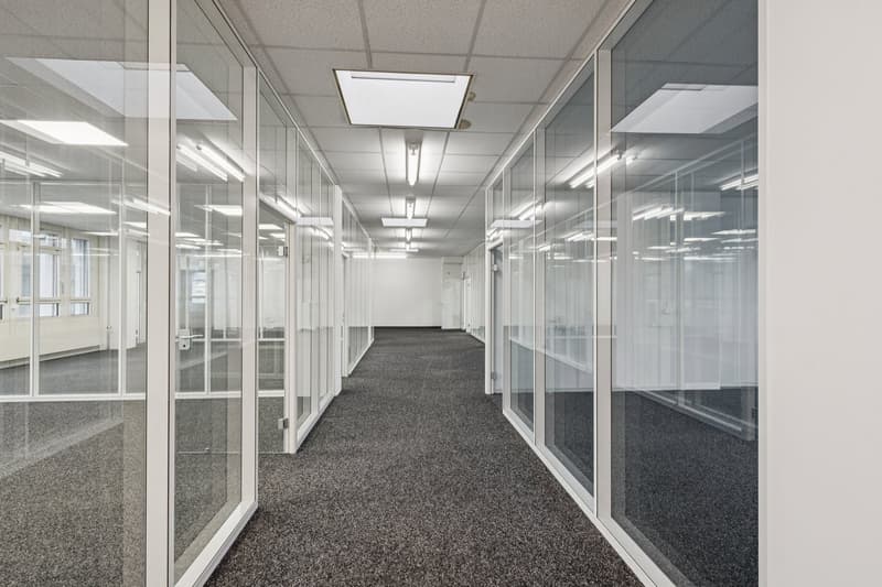 Ready-for-occupancy and built-out office spaces for CHF 90.00/m²/year (3)