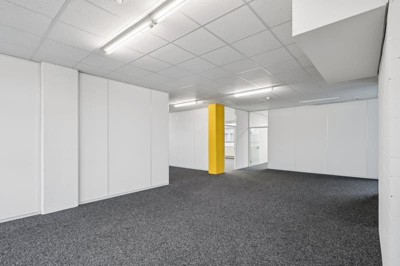 Ready-for-occupancy and built-out office spaces for CHF 90.00/m²/year (10)