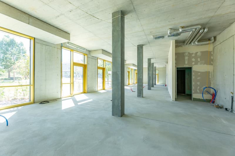 Mietfläche im Edelrohbau (2)